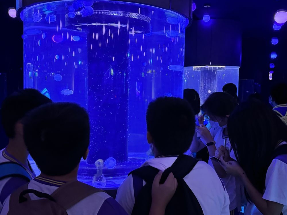 慈文國小成果照片 6