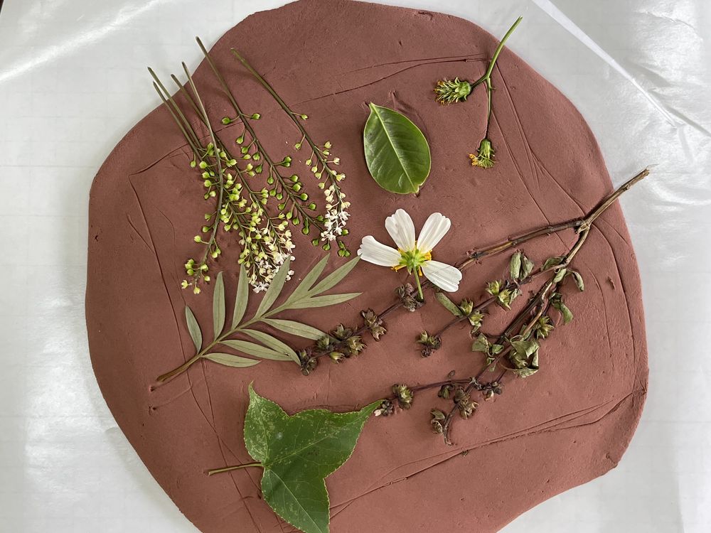 楊明國中成果照片 3