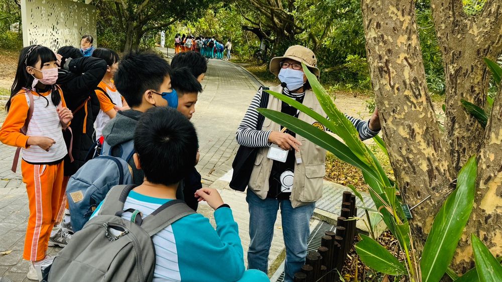 興國國小成果照片 4