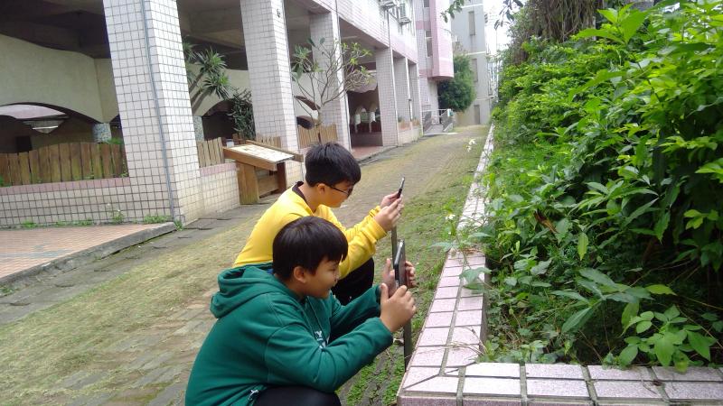 祥安國小成果照片 21