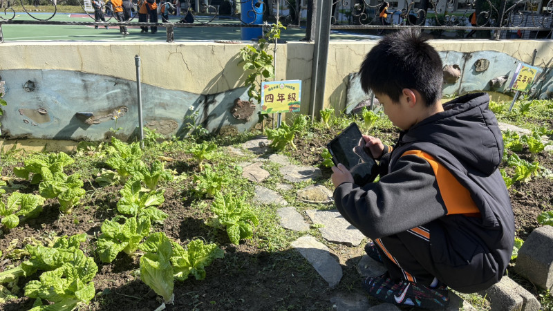 中興國小成果照片 18