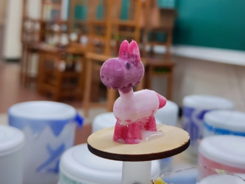 楊心國小成果照片 19