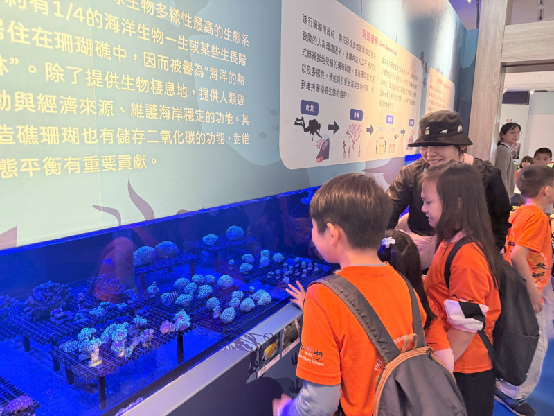 北湖國小成果照片 2