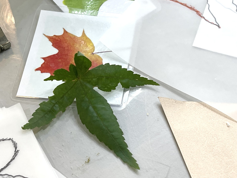 楊明國中成果照片 5